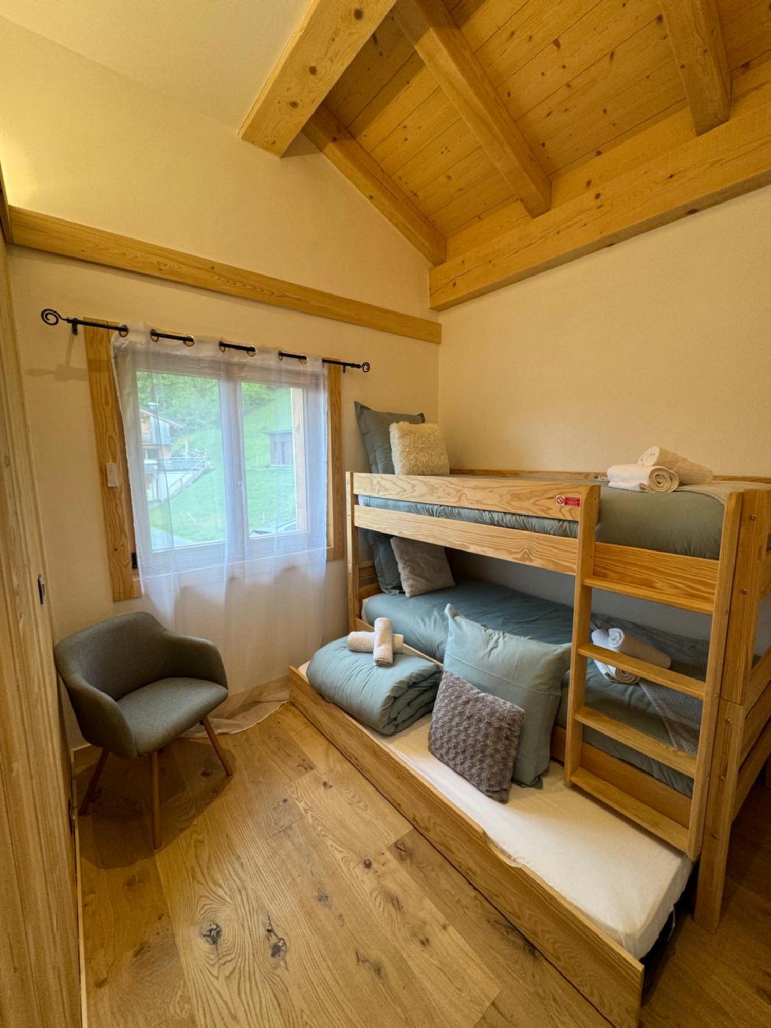Clos Du Nant Megeve Chalet